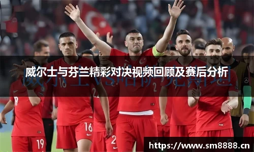 威尔士与芬兰精彩对决视频回顾及赛后分析