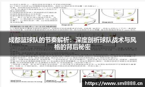 成都篮球队的节奏解析：深度剖析球队战术与风格的背后秘密
